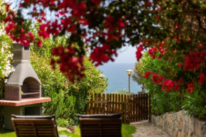 Bougainville